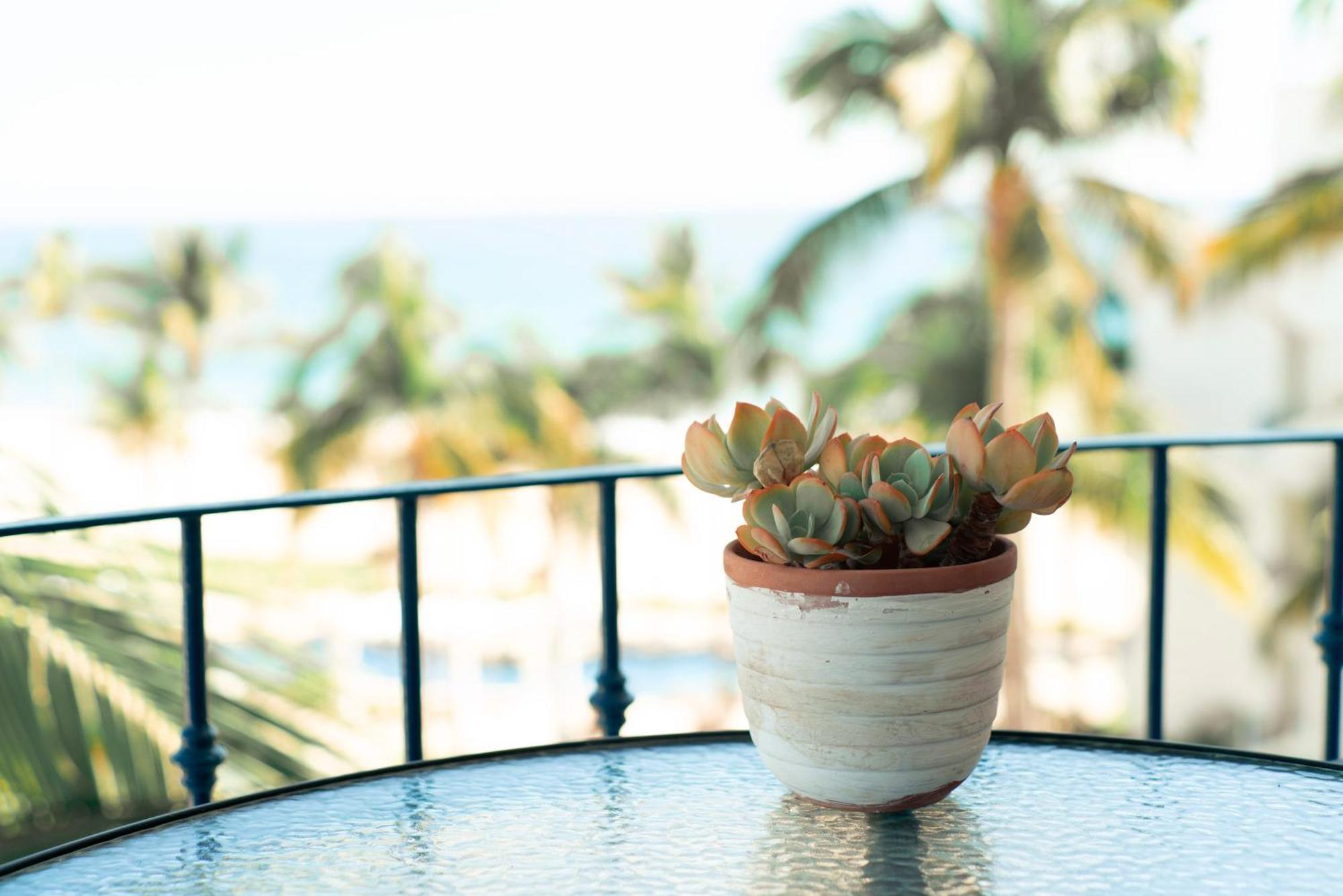 Beach Front Resort Mykonos San José del Cabo Zewnętrze zdjęcie